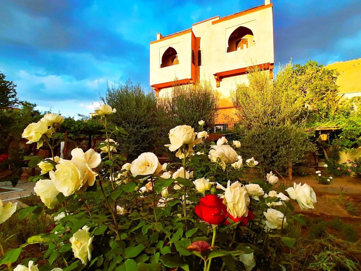 Riad Tazawa Ibrahene ภายนอก รูปภาพ