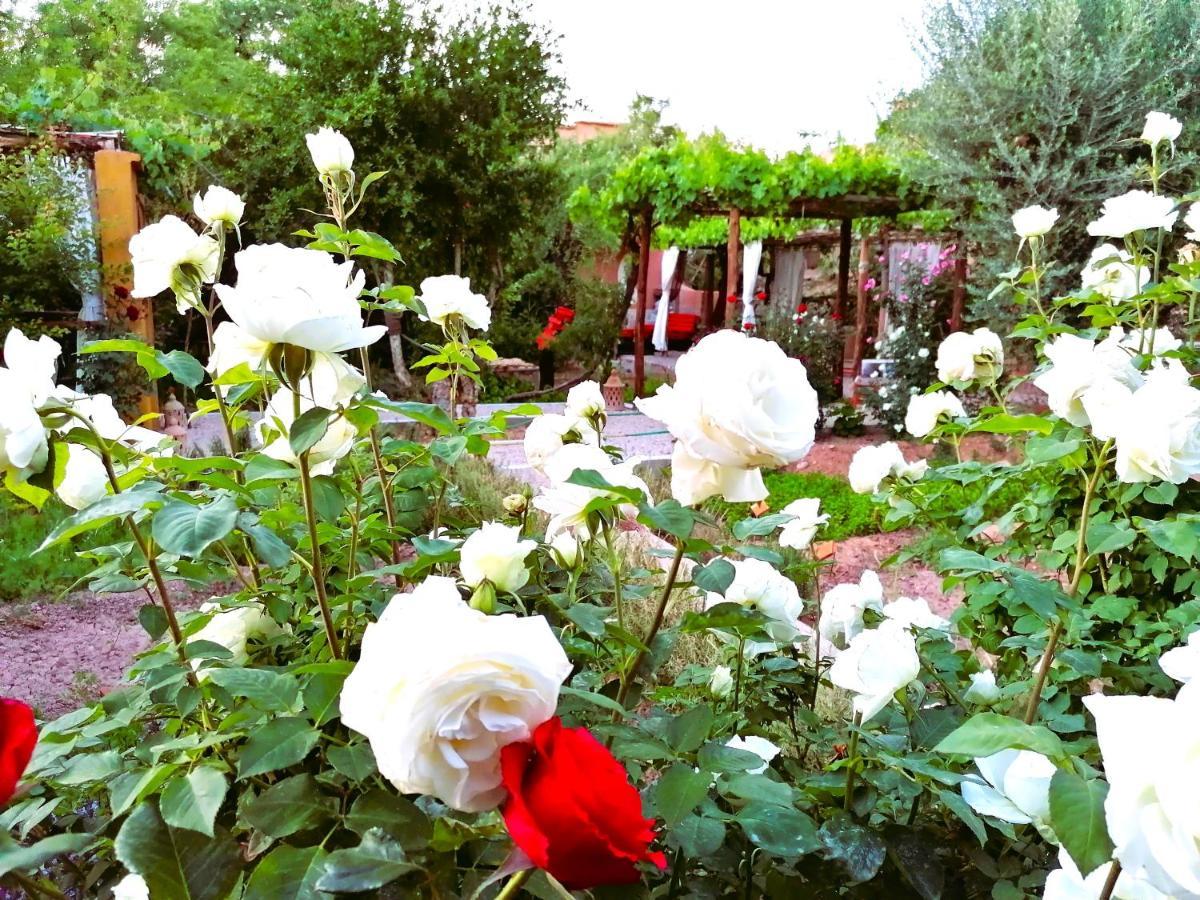 Riad Tazawa Ibrahene ภายนอก รูปภาพ